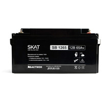 Аккумулятор SKAT SB 1265
