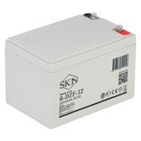 Аккумулятор SKN 6-DZF-12 (12V14.5A/H C5)