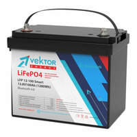 Аккумулятор Vektor Energy LFP 12,8-100 Smart BMS 100A