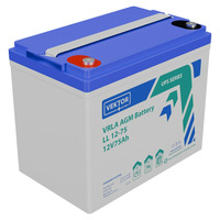 Аккумулятор Vektor Energy LL 12-75 Аккумулятор Vektor Energy LL 12-75