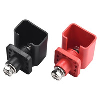 Клеммы для LFP-аккумулятора 100А, 1000В (пара красн+черн)