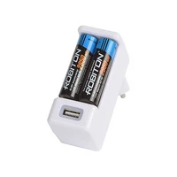 Зарядное устройство ROBITON SmartUSB BL1 11456